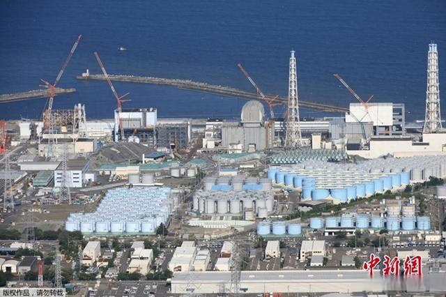 W020240304337111369679.jpeg W020240304337111369679.jpeg